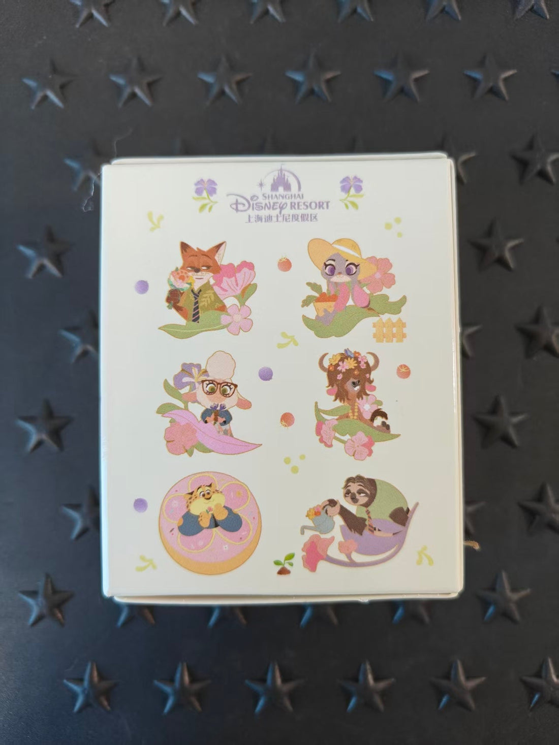 SHDL-2025 Go Spring Zootopia Mystery Box - 1 Pin