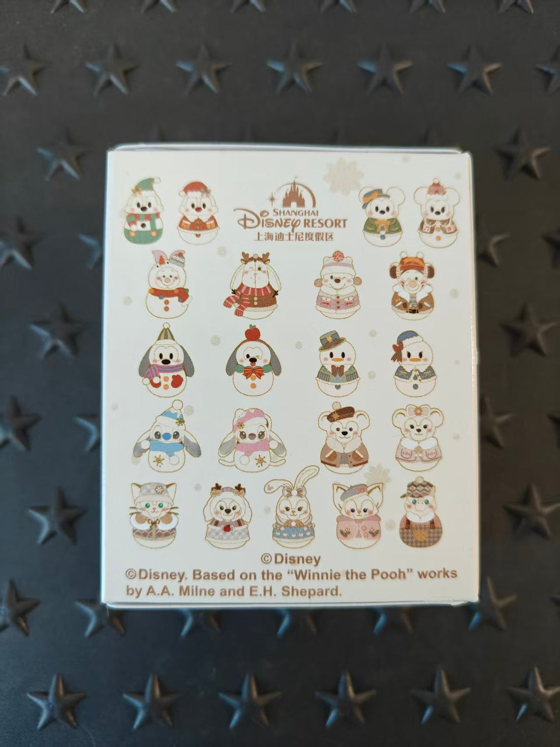 SHDL-2024 Winter Christmas Snowman Mystery Box - 1 Pin